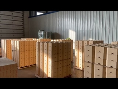 DN14 Vuurklei baksteen lage porositeit klei baksteen 42%-47% Al2o3 Hoogtemperatuur vuurbaksteen